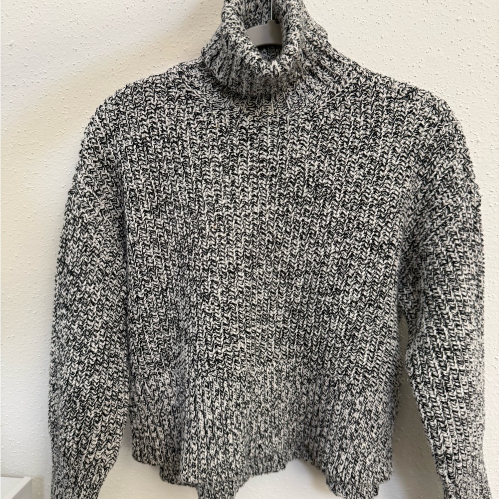 Madewell chunky Turtleneck Sweater